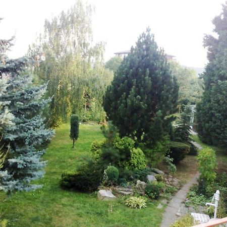 Apartman S Terasou Alamóc Kültér fotó